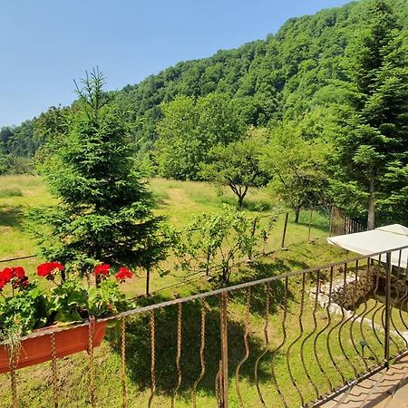 Bran 99 Villa Exteriör bild