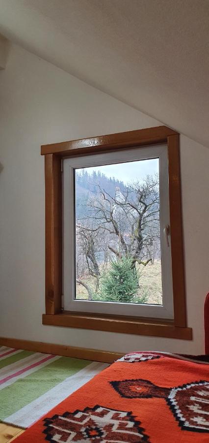 Bran 99 Villa Exteriör bild