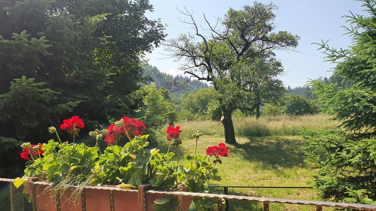 Bran 99 Villa Exteriör bild