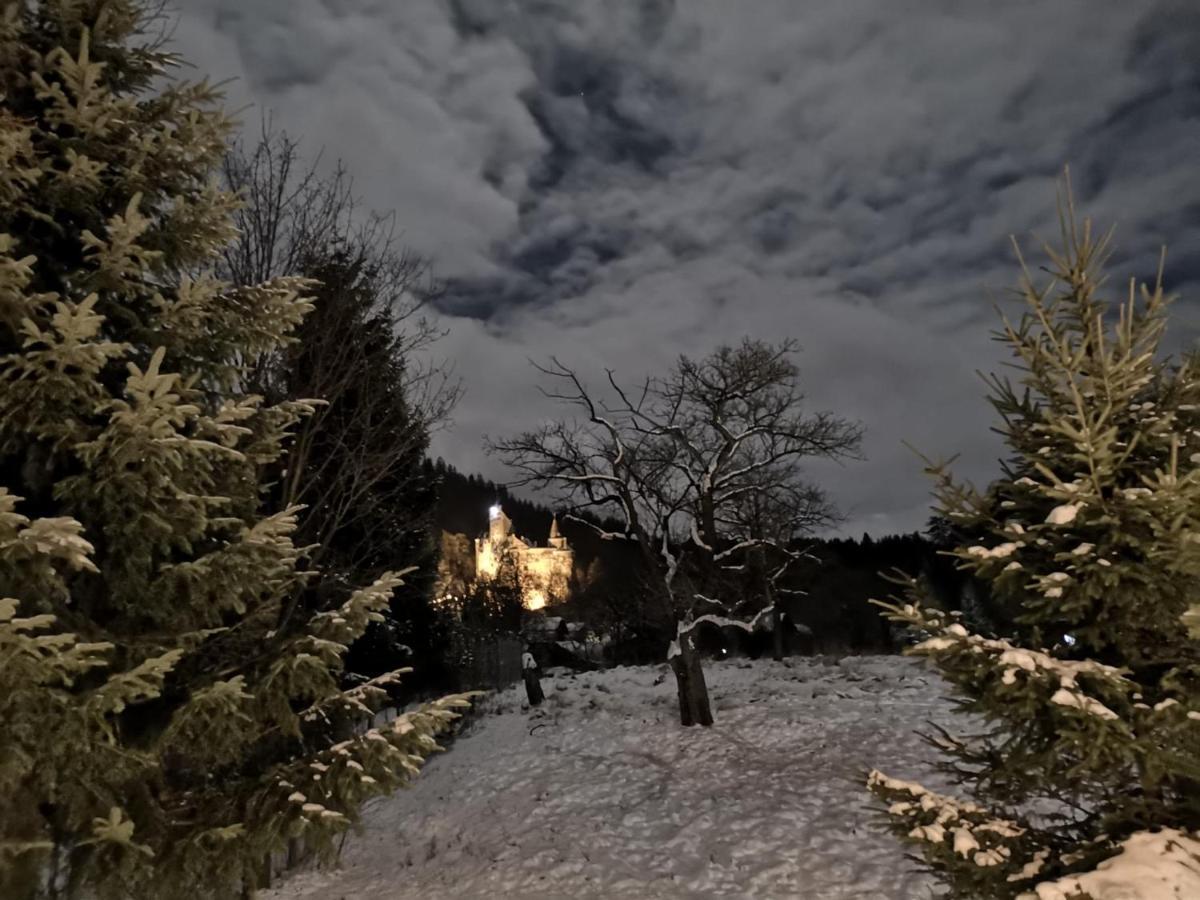 Bran 99 Villa Exteriör bild